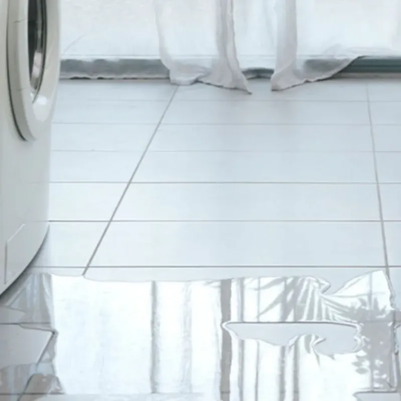Appliance Leak Cleanup in Cedar Point, NC