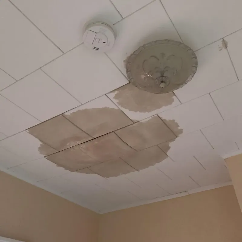 Ceiling Water Damage Repair in Cedar Point, NC