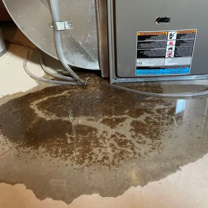 Pipe Burst and Leak Restoration in Cedar Point, NC