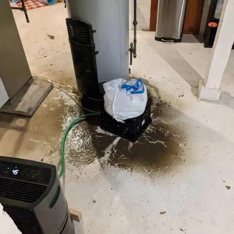 Sewage Backup Cleanup Service in Cedar Point, NC